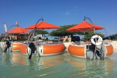 Octopus Aruba - 02